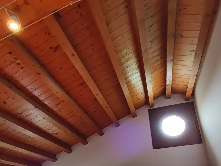 Immagine 24 di Terreno edificabile in vendita  a Codognè