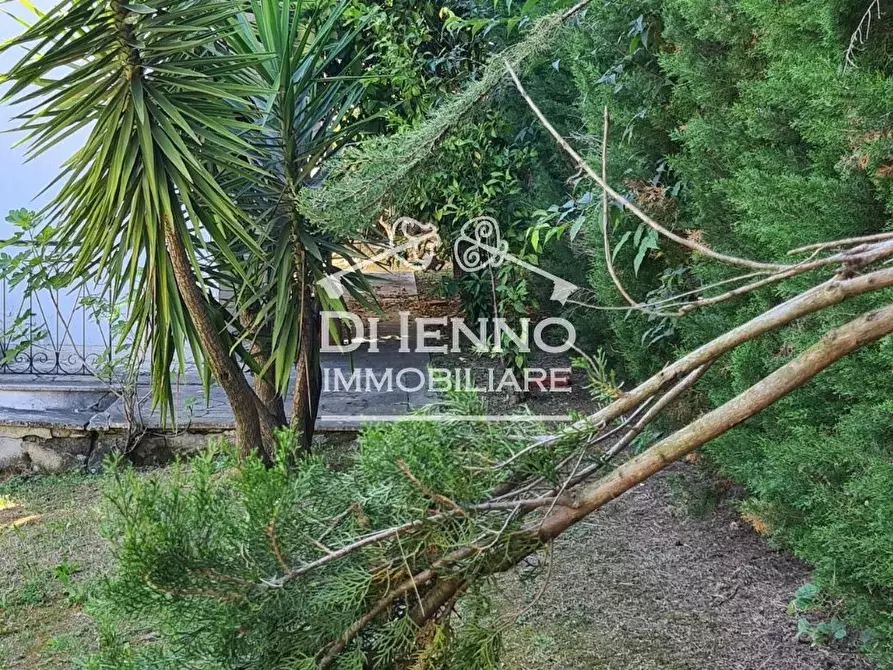 Immagine 10 di Terreno edificabile in vendita  in Canneto Sabino a Casaprota