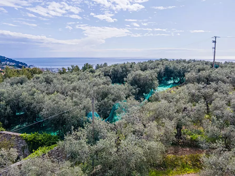 Immagine 4 di Terreno edificabile in vendita  a Imperia