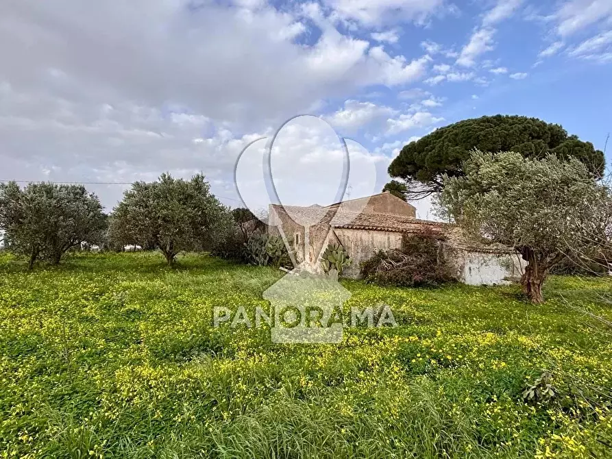 Immagine 19 di Terreno edificabile in vendita  in Contrada Bosco Falconeria SNC, 90047 Partinico PA, Italy a Partinico