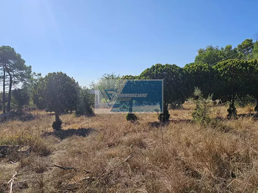 Immagine 8 di Terreno in vendita  a Avola