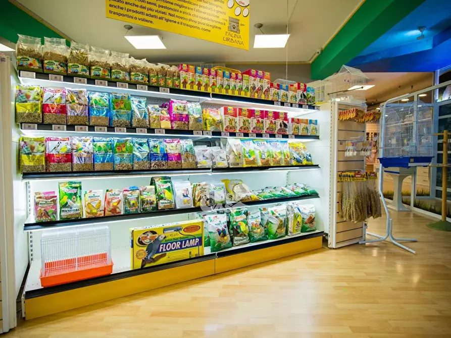 Immagine 2 di Attico in affitto  a Marsala