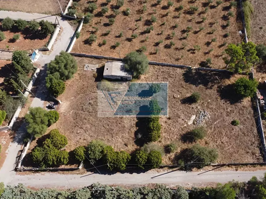 Immagine 17 di Terreno in vendita  a Avola