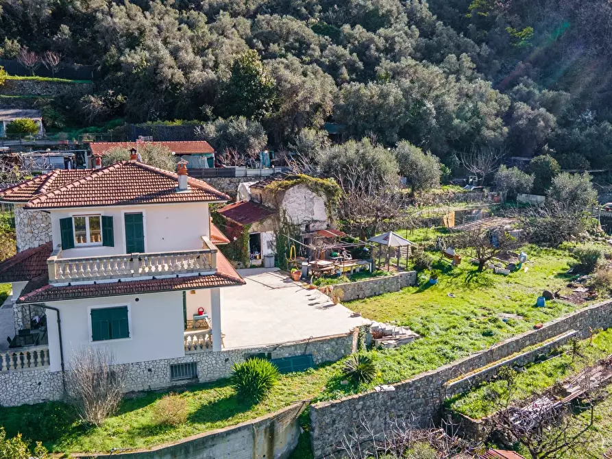 Immagine 29 di Terreno edificabile in vendita  in regione nofea vallecrosia a Vallecrosia