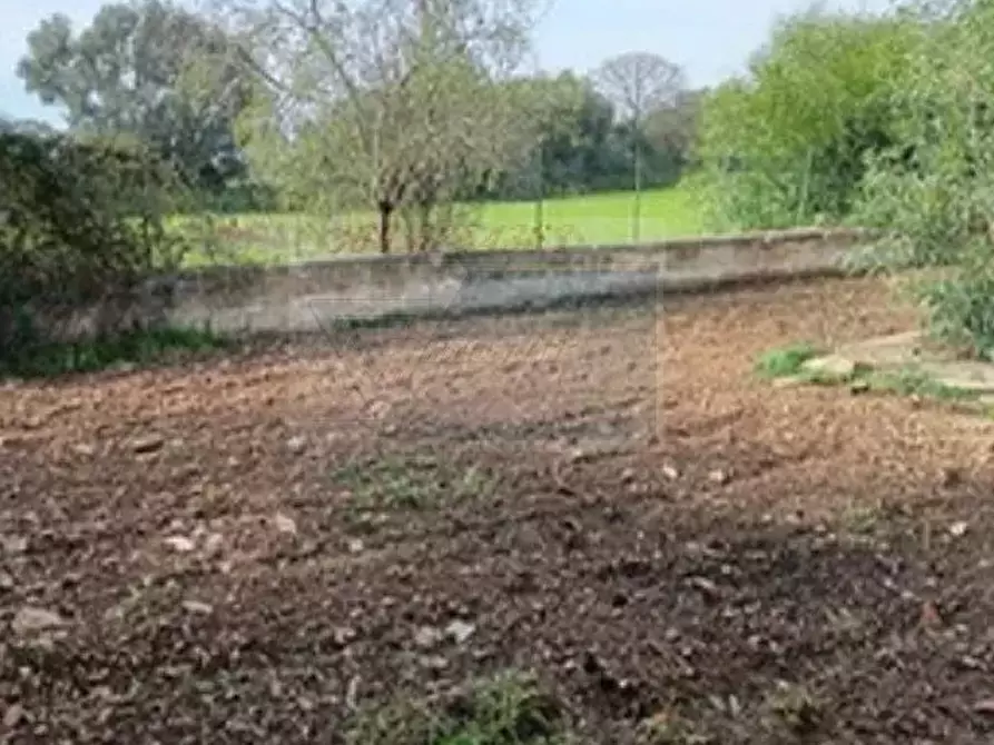 Immagine 5 di Terreno in vendita  in via Ognina a Siracusa