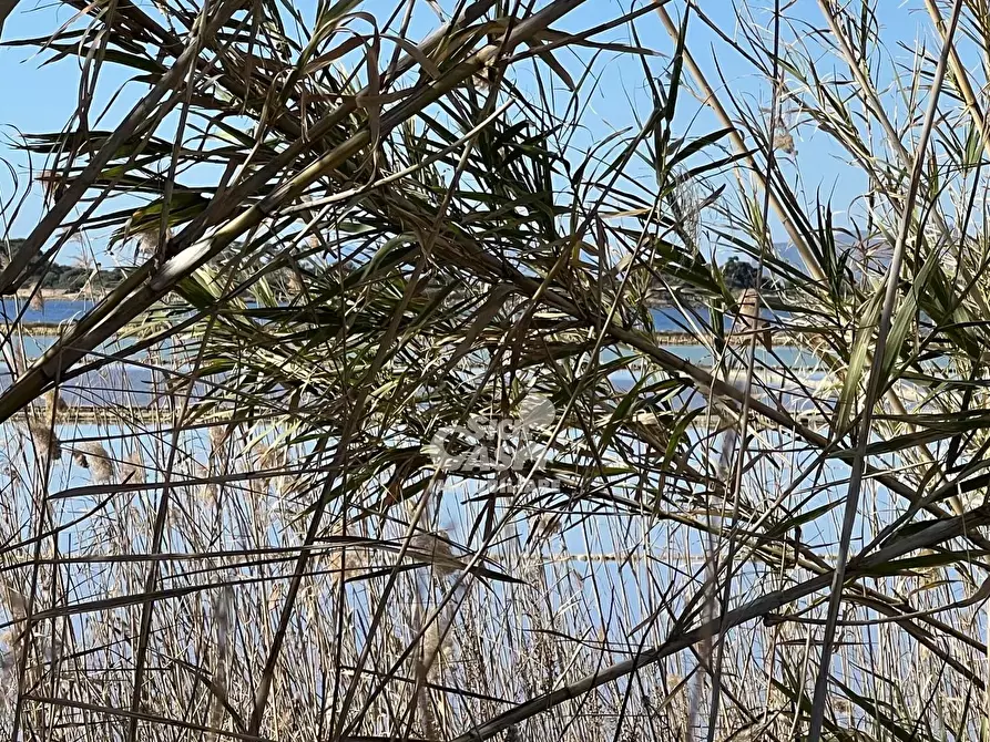 Immagine 27 di Terreno in vendita  a Marsala