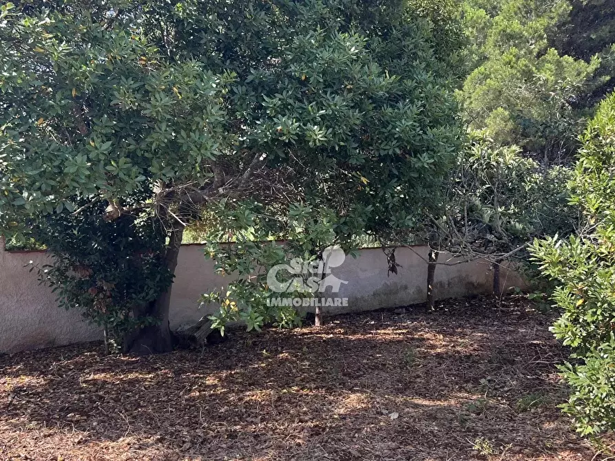 Immagine 12 di Terreno edificabile in vendita  a Marsala