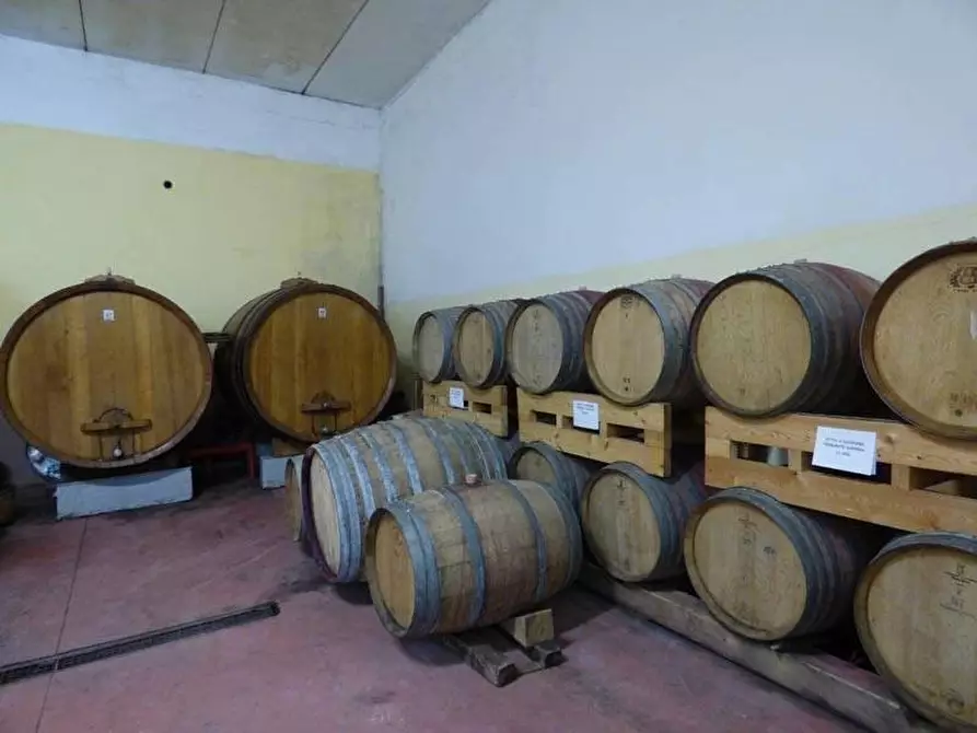 Immagine 20 di Attico in vendita  a Cassinasco