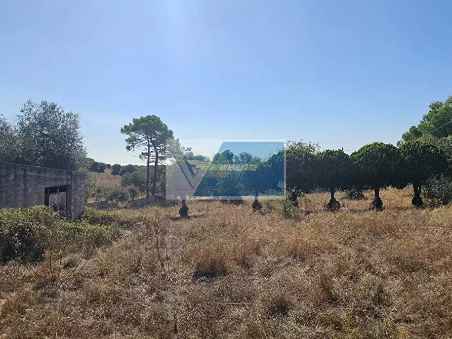 Immagine 4 di Terreno in vendita  a Avola