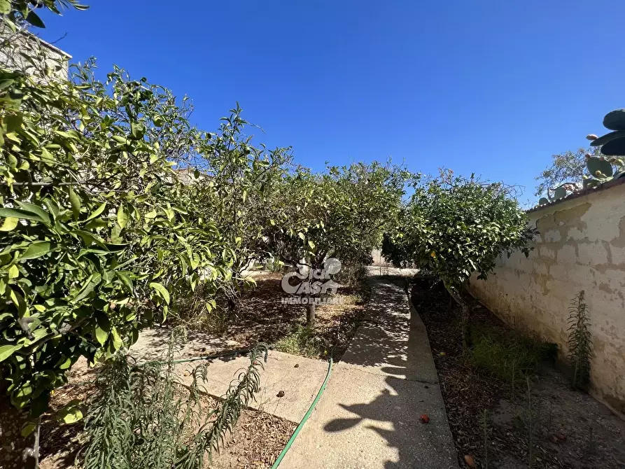 Immagine 4 di Terreno edificabile in vendita  a Marsala