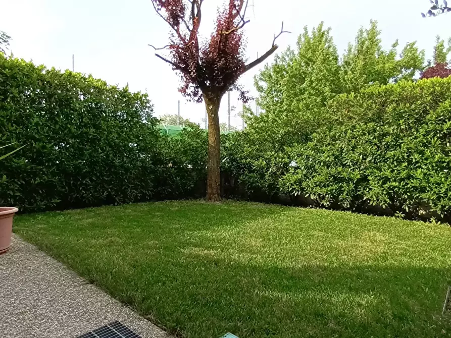 Immagine 4 di Terreno edificabile in vendita  a Conegliano