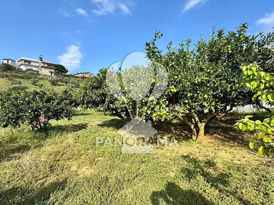 Immagine 1 di Terreno in vendita  in Contrada Timpi Rossi a Alcamo