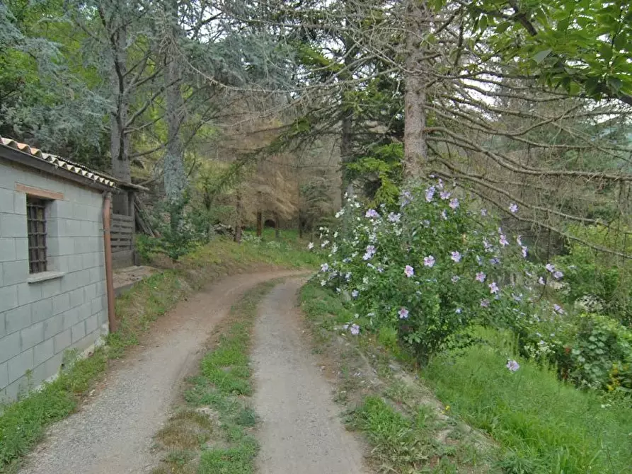 Immagine 24 di Terreno edificabile in vendita  a Bergolo