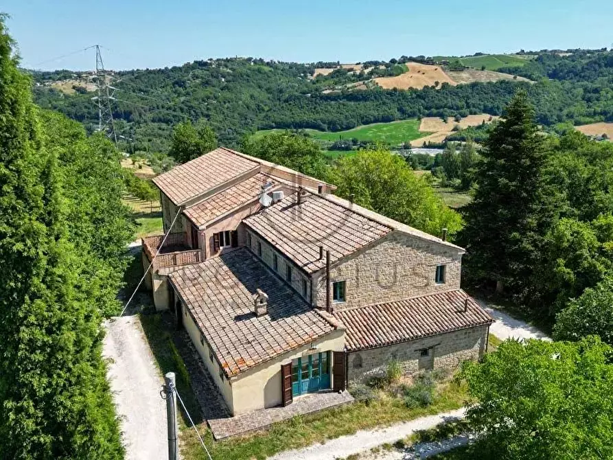 Immagine 15 di Terreno edificabile in vendita  in Serra San Quirico a Serra San Quirico