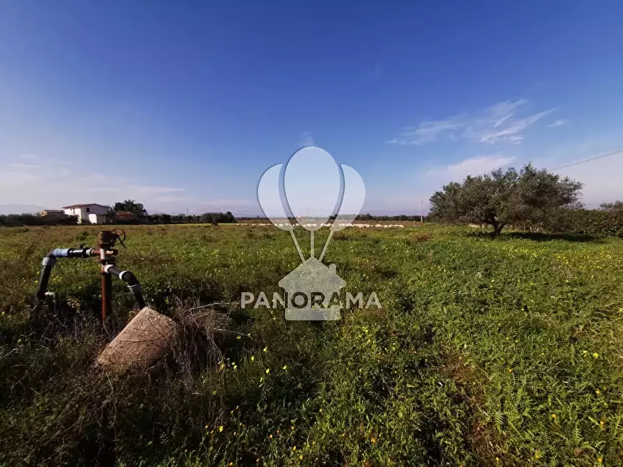 Immagine 4 di Terreno in vendita  in Via San Carlo a Partinico