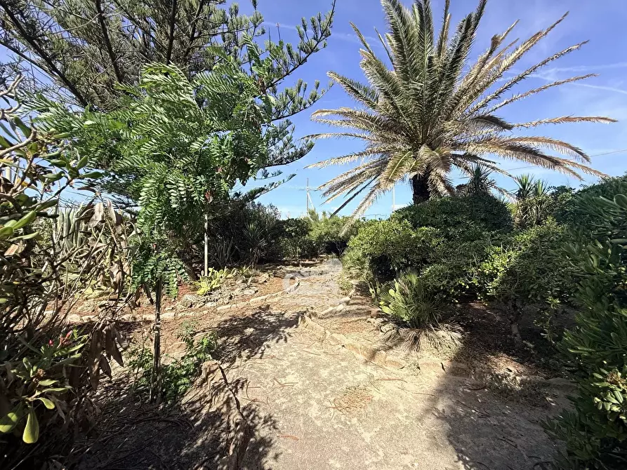 Immagine 17 di Terreno edificabile in vendita  a Marsala