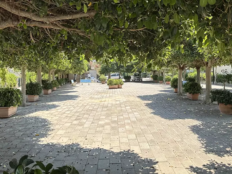 Immagine 15 di Casa trifamiliare in vendita  in Via Ischia, 18 a Villapiana