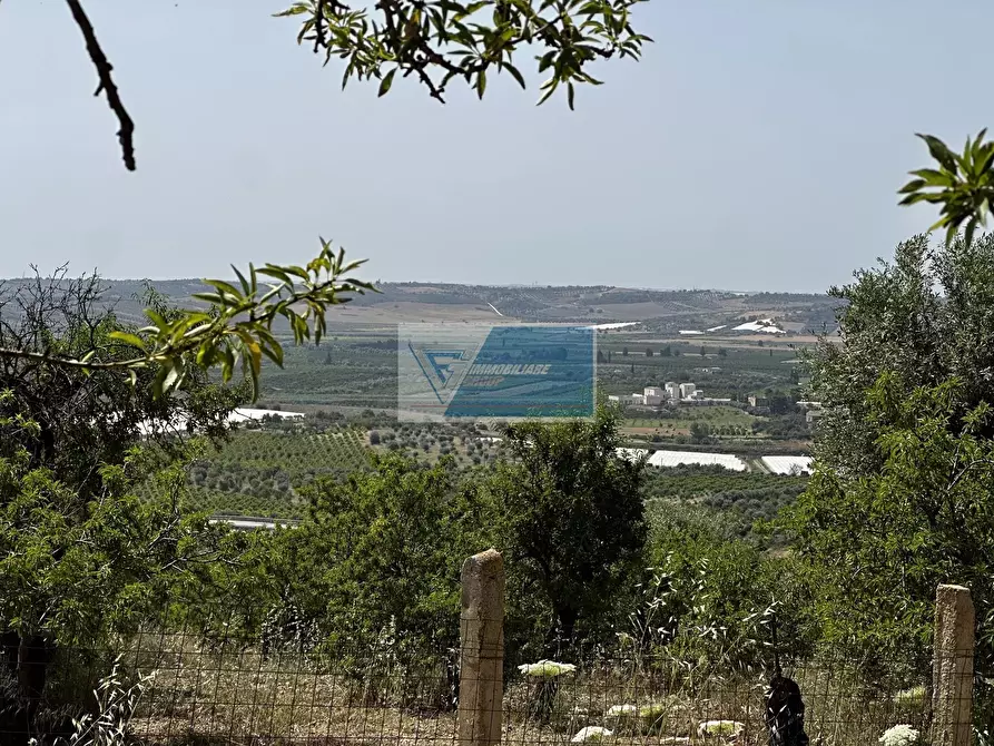 Immagine 1 di Terreno in vendita  a Noto