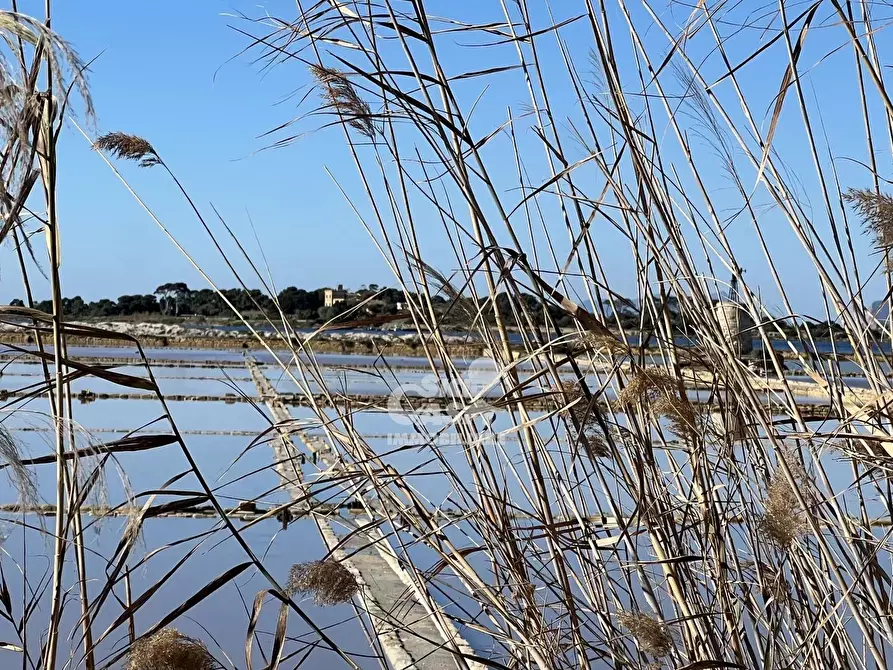 Immagine 31 di Terreno in vendita  a Marsala