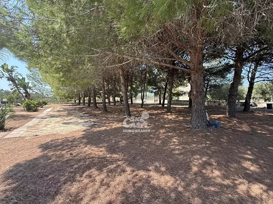 Immagine 48 di Terreno edificabile in vendita  a Marsala