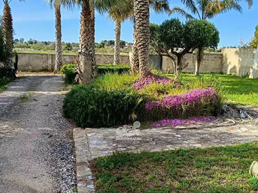 Immagine 2 di Terreno edificabile in affitto  a Marsala