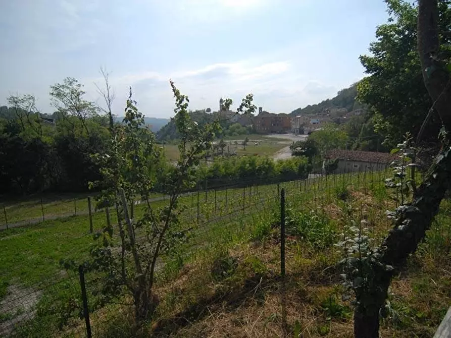 Immagine 2 di Terreno edificabile in vendita  a Barolo