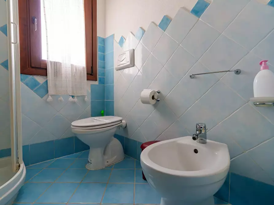 Immagine 25 di Casa trifamiliare in vendita  in Via Massimo Kolbe, 4 a Aggius