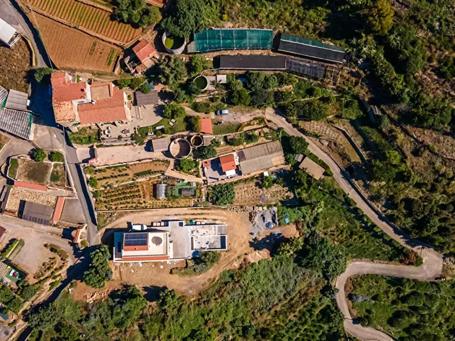 Immagine 11 di Terreno edificabile in vendita  in Località Ville Superiori a Ventimiglia