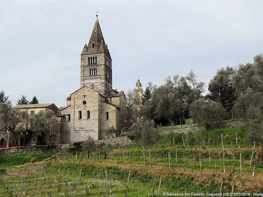 Immagine 3 di Attico in vendita  in Via Goffredo Mameli a Avegno