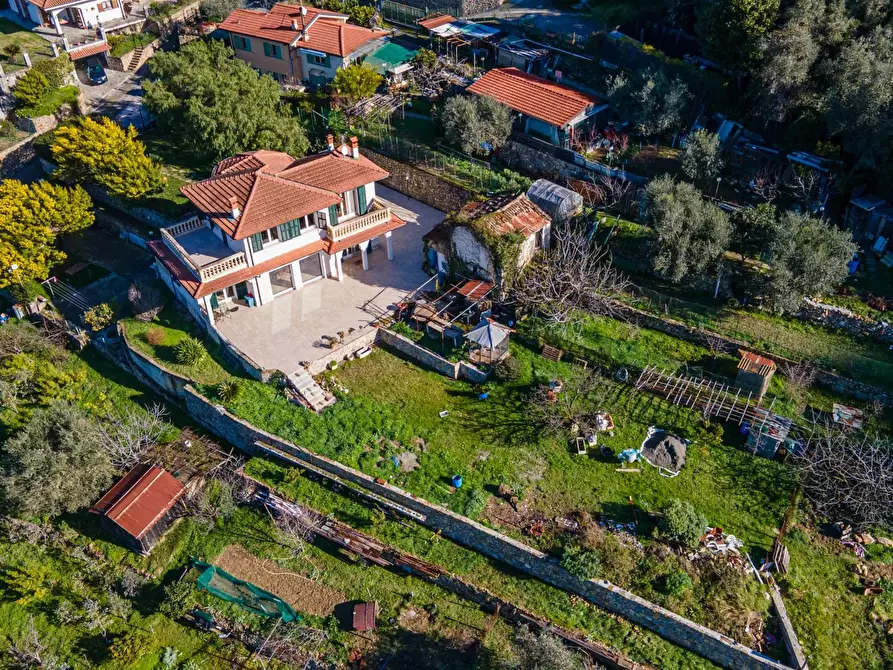 Immagine 7 di Terreno edificabile in vendita  in regione nofea vallecrosia a Vallecrosia