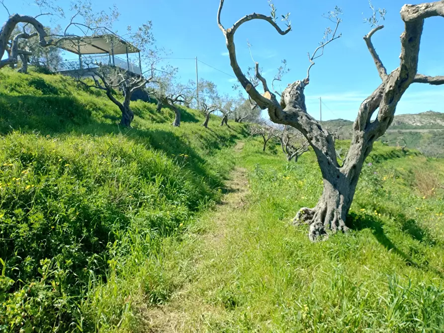 Immagine 10 di Terreno in vendita  in Contrada Bosco, roccavaldina, me a Condrò