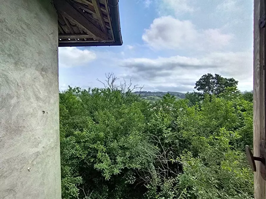 Immagine 18 di Terreno edificabile in vendita  a Dogliani