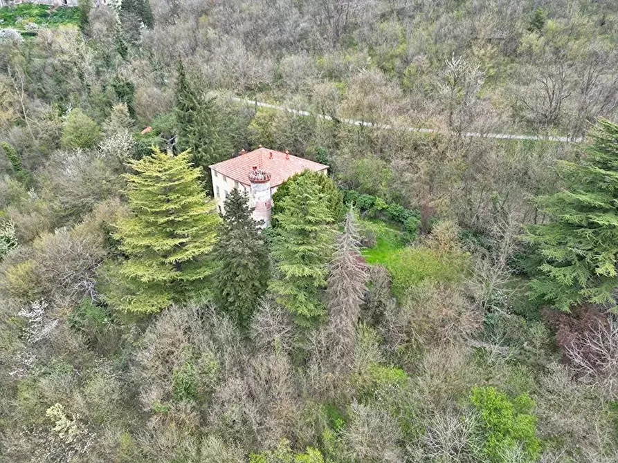 Immagine 5 di Terreno edificabile in vendita  a Monesiglio