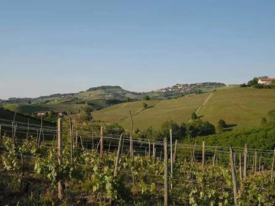 Immagine 14 di Terreno edificabile in vendita  a Dogliani