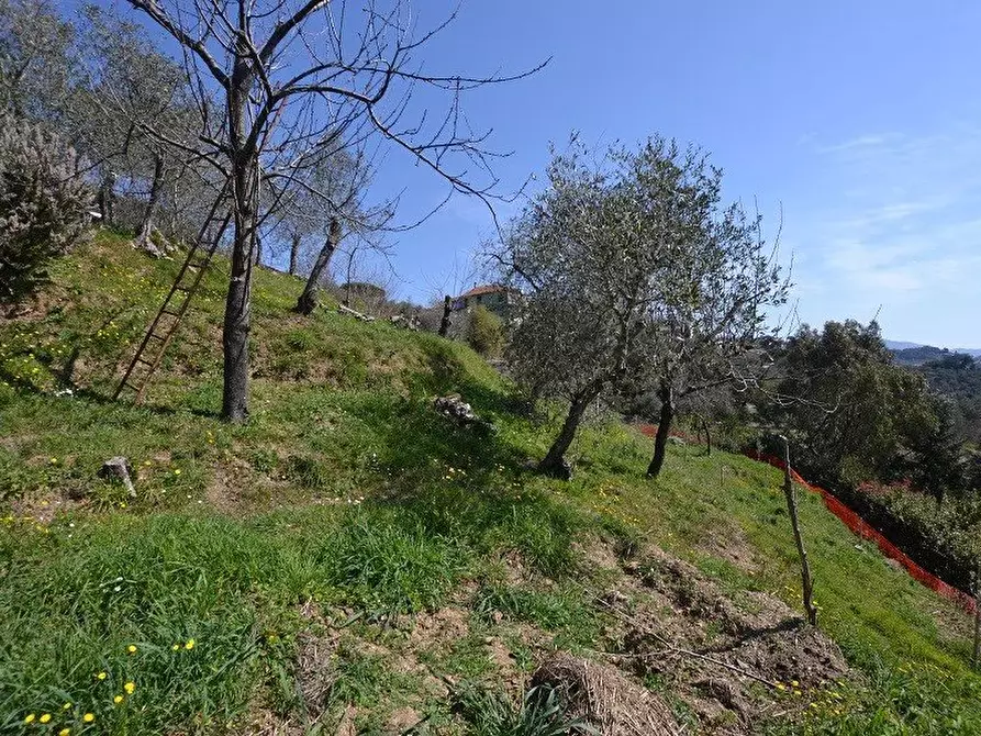 Immagine 3 di Terreno in vendita  in Via I Maggio a Coreglia Ligure