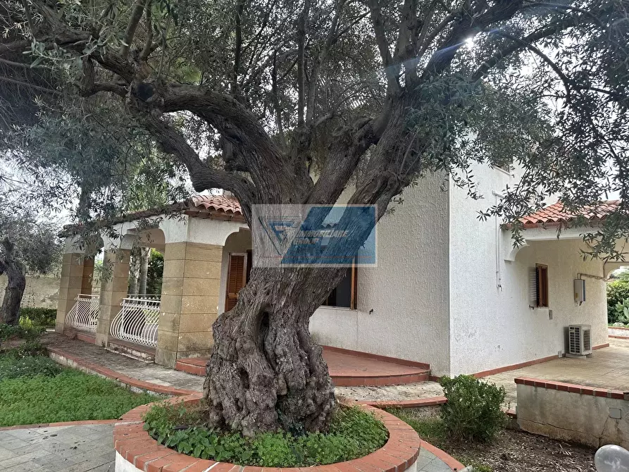 Immagine 13 di Terreno edificabile in vendita  in Rametta noto a Noto