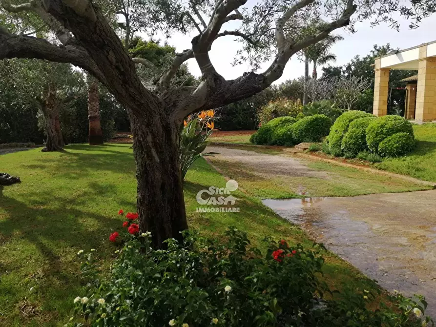 Immagine 53 di Terreno edificabile in vendita  a Marsala