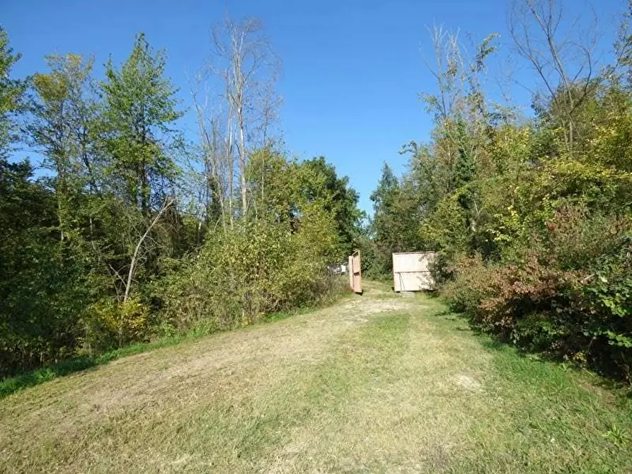 Immagine 19 di Terreno edificabile in vendita  a Dogliani
