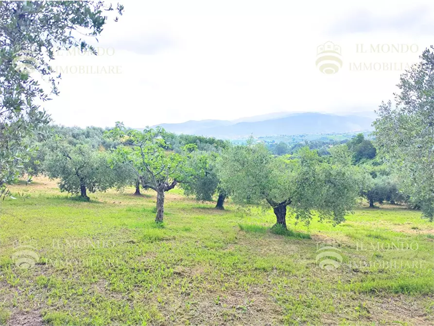 Immagine 27 di Casa bifamiliare in vendita  in Strada di Colle Fagiano a Palombara Sabina