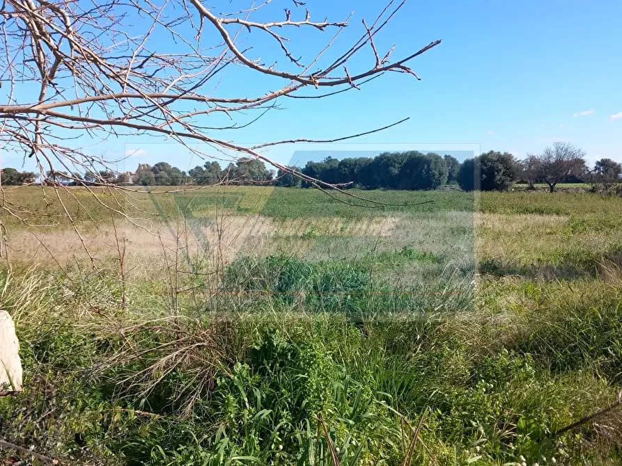 Immagine 9 di Terreno edificabile in vendita  in Via Mallia a Siracusa