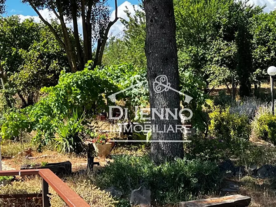 Immagine 29 di Terreno edificabile in vendita  in Strada Valle del Dragone a Arlena Di Castro