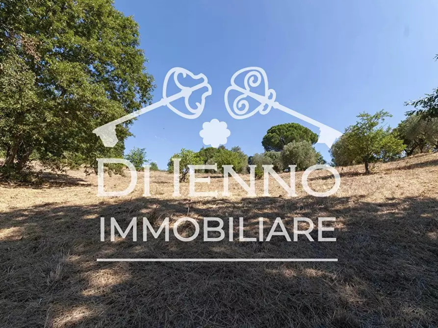 Immagine 19 di Terreno in vendita  a Roma