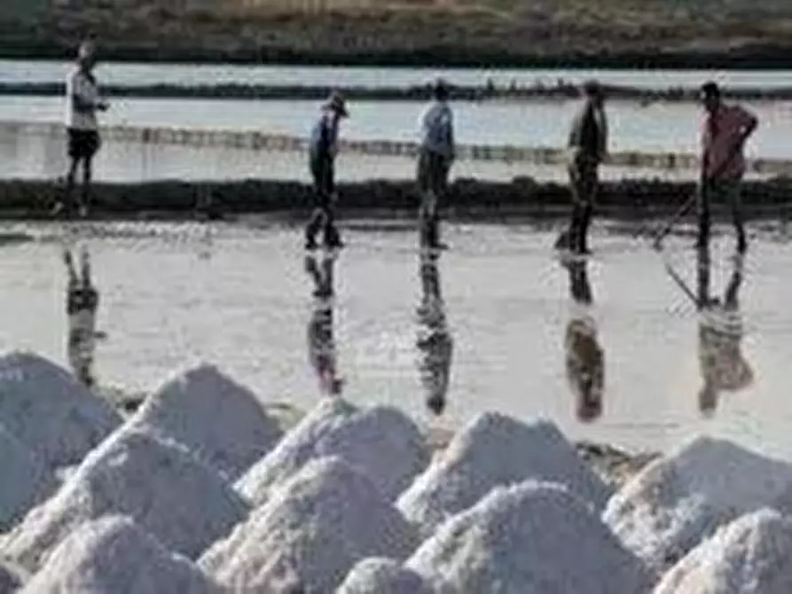 Immagine 35 di Terreno edificabile in vendita  in Contrada Spagnola a Marsala
