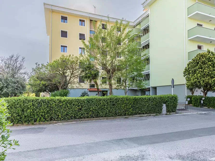 Immagine 22 di Casa trifamiliare in vendita  in Via Spartaco Lavagnini, 6 a Rosignano Marittimo