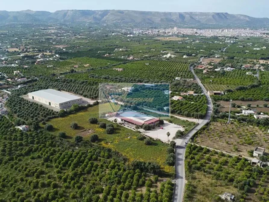 Immagine 3 di Casa bifamiliare in affitto  a Avola