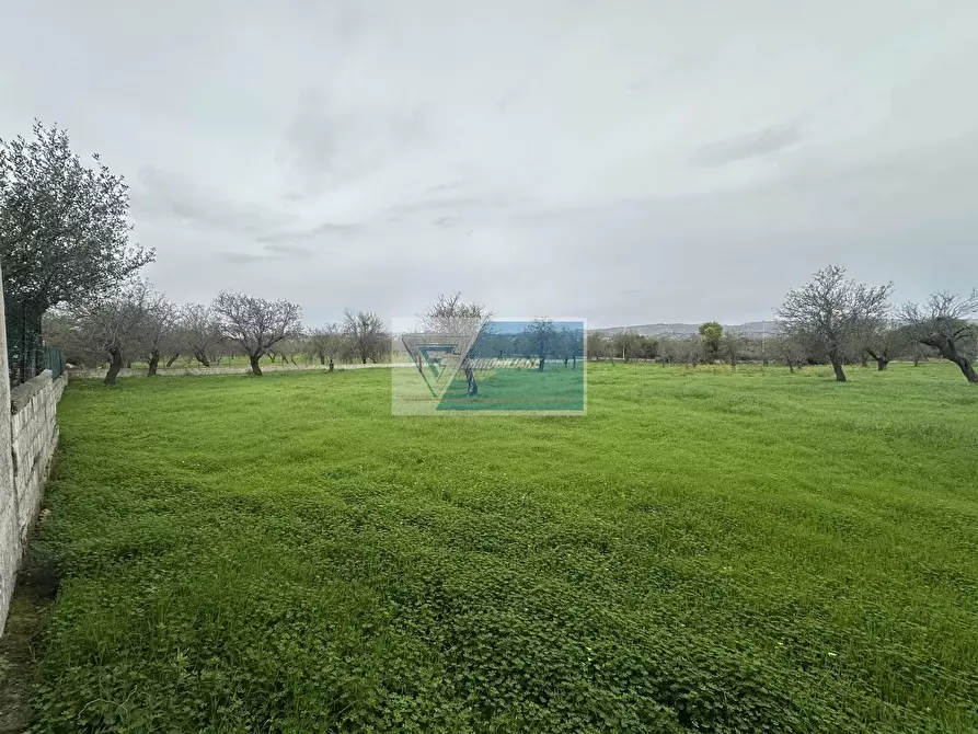 Immagine 28 di Terreno edificabile in vendita  in Rametta noto a Noto