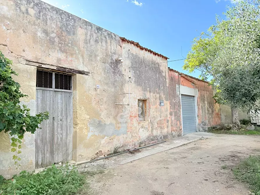 Immagine 3 di Terreno edificabile in vendita  a Marsala