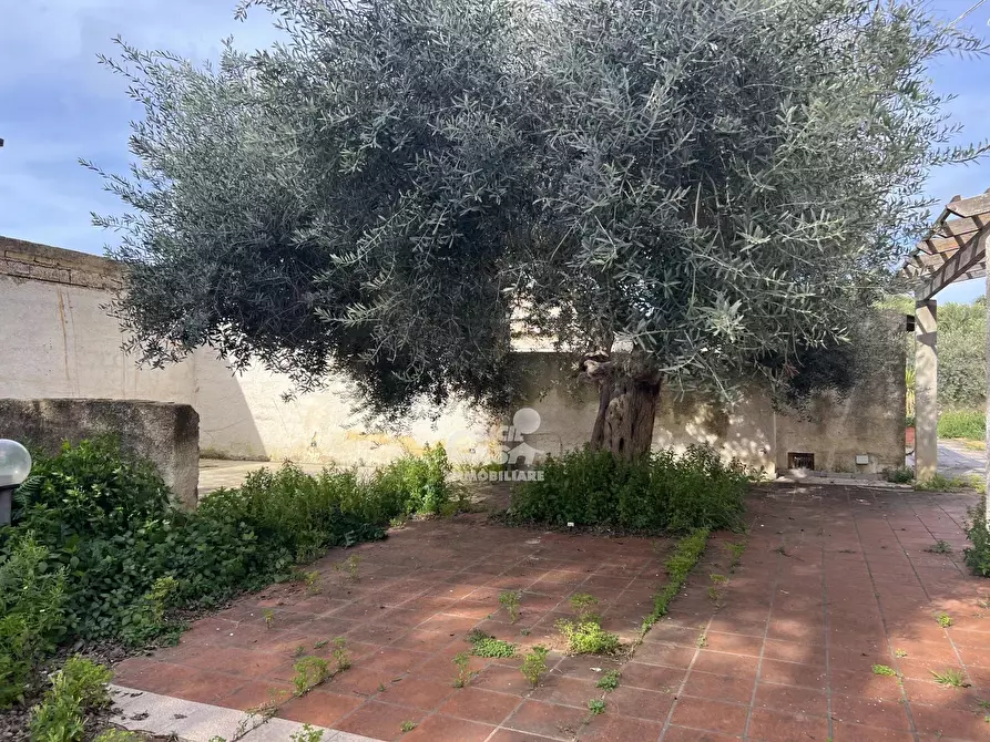 Immagine 9 di Terreno edificabile in vendita  in Contrada Ventrischi a Marsala