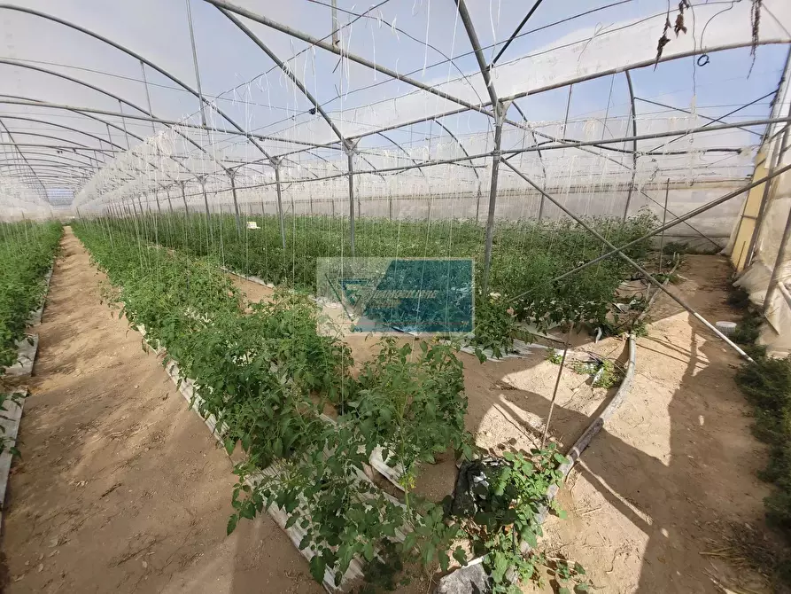 Immagine 3 di Attico in vendita  in CONTRADA GRANELLI a Pachino