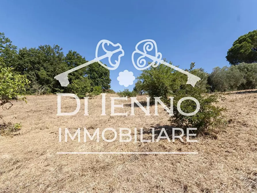 Immagine 20 di Terreno in vendita  a Roma